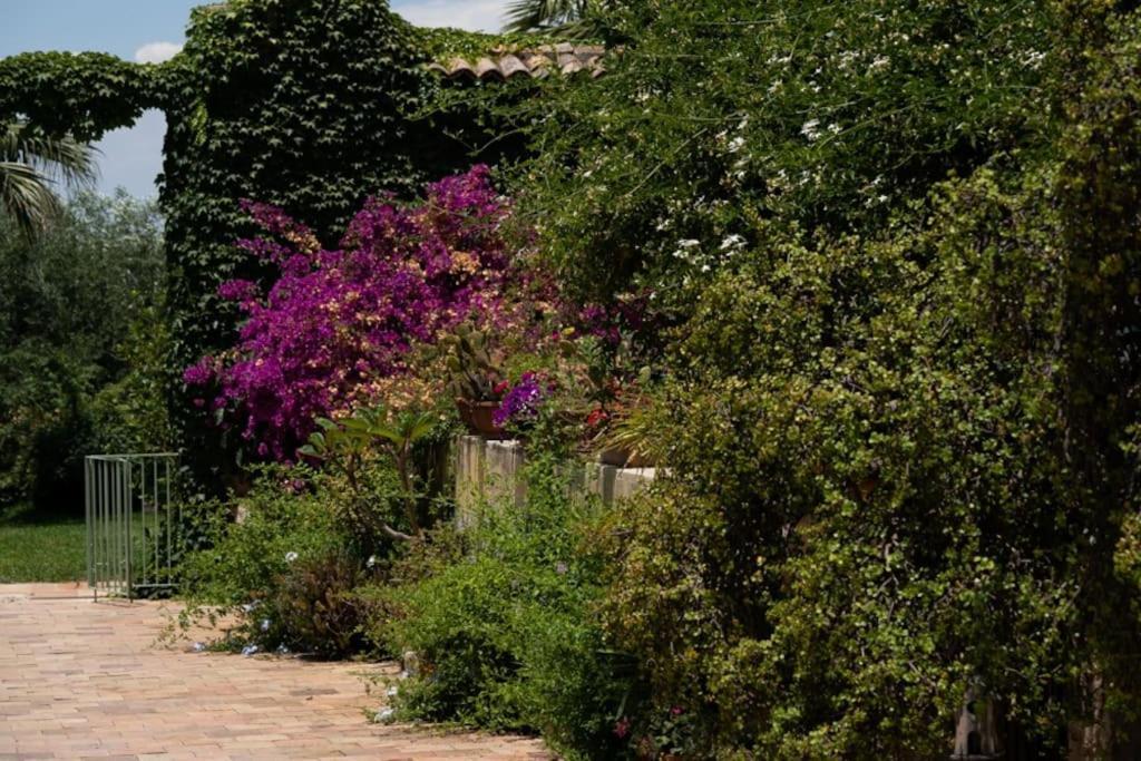 Alloggio per agriturismo Pietre Di Gelo Carlentini